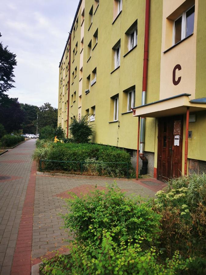 Apartament Mewahouse, Blisko Morza Gdańsk